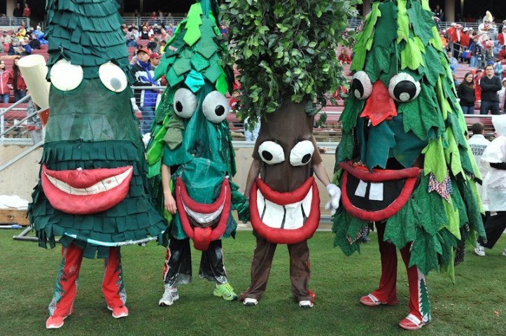 stanford-tree-and-friends