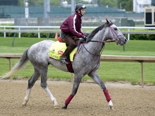 635978876323275019-usp-horse-racing-kentucky-derby-workouts-81624521