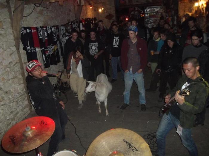 wormrot-goat