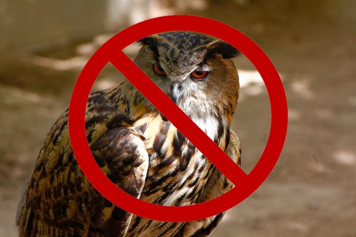 shutterstock_764956681 copy