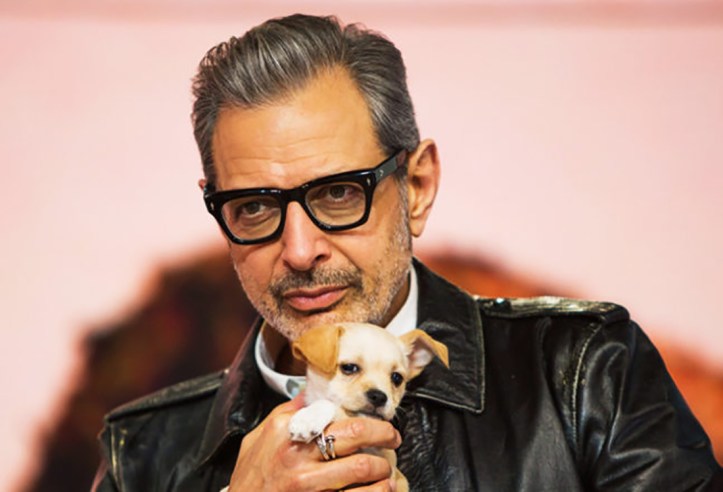 goldblum3.jpg