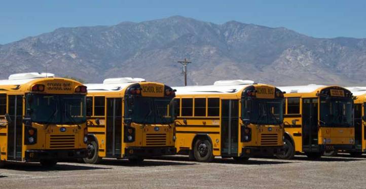 busborn.jpg