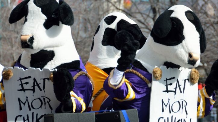 chick-fil-a-cows