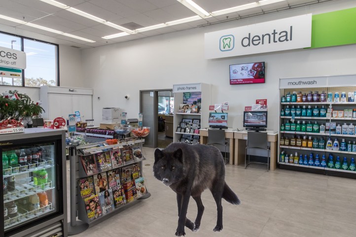 wolfofwalgreens.jpg