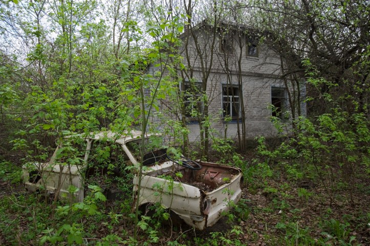 NGS Picture Id:1088260